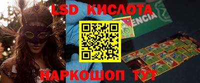 прущие грибы Усть-Джегута