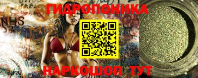 прущие грибы Усть-Джегута