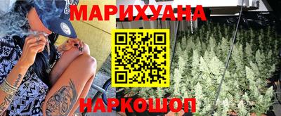 прущие грибы Усть-Джегута