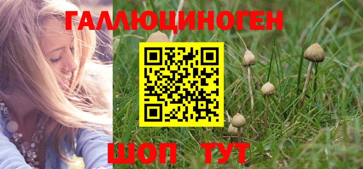 Псилоцибиновые грибы Psilocybe  Вход с VPN  Псилоцибиновые грибы прущие грибы  Тула 