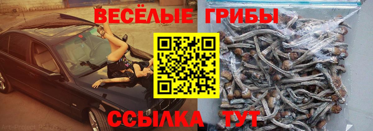 Меф Тула