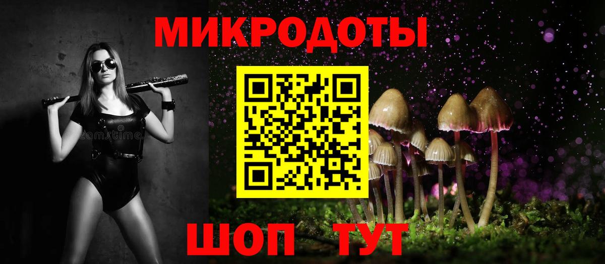 Галлюциногенные грибы Psilocybine cubensis Тула